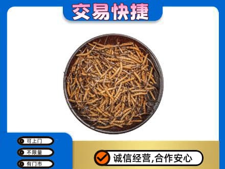 黄石礼品回收虫草.jpg